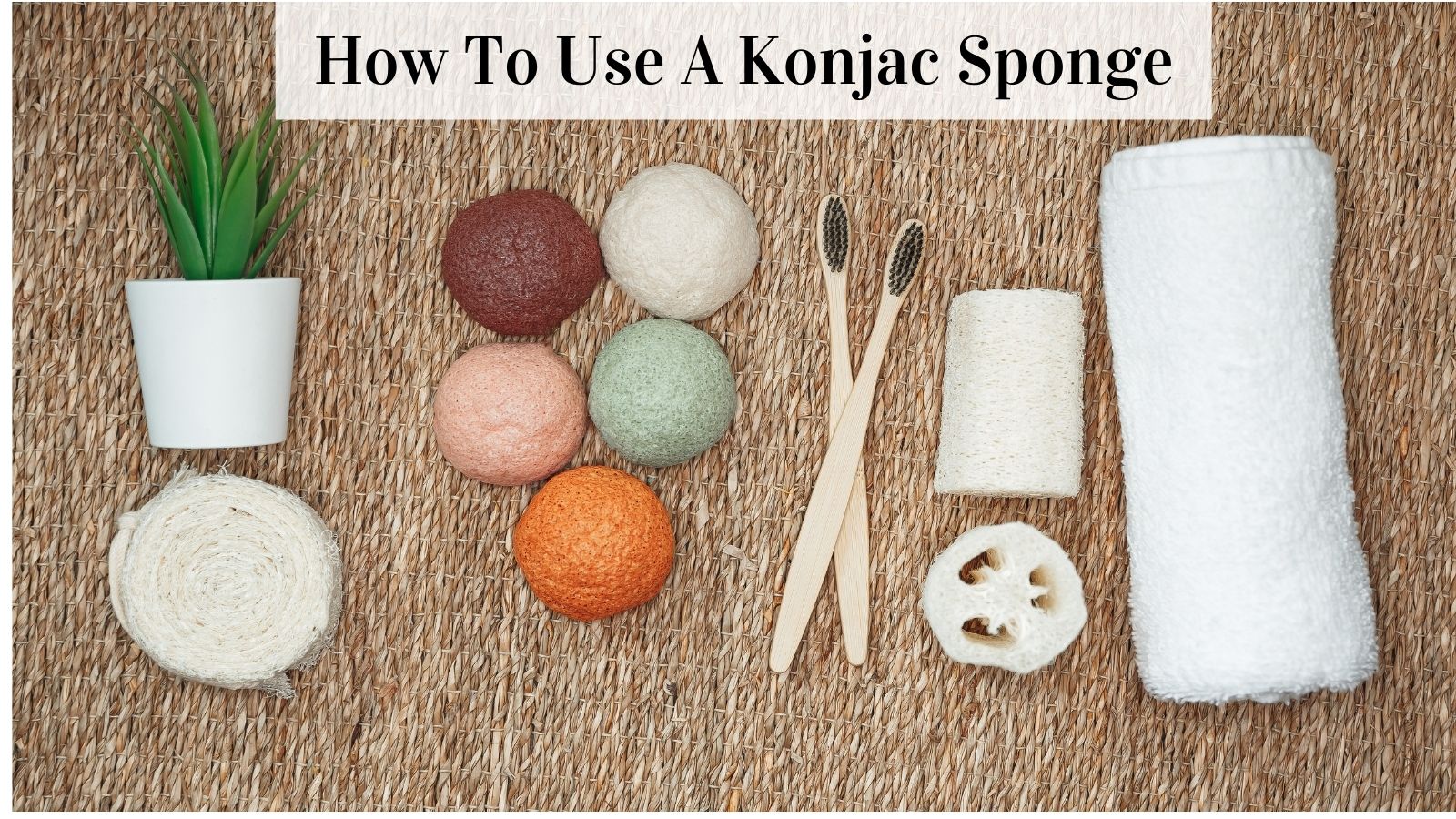 How To Use A Konjac Sponge - Konjac Sponge