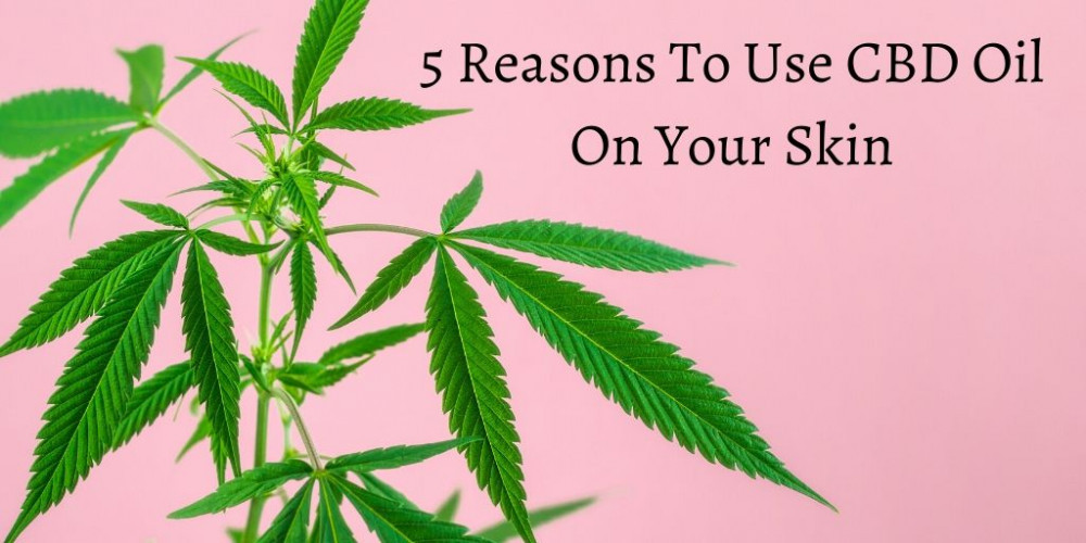 5 Reasons To Use CBD Oil On Your Skin - CBD Leaves