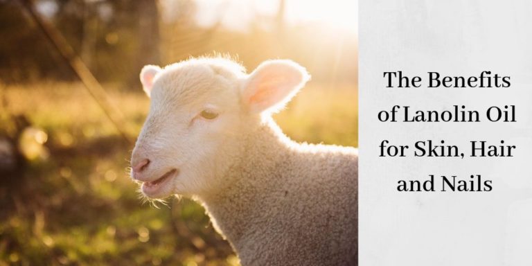 High-Quality Lanolin For Hair Capture Art High-Quality Lanolin For Hair Capture Art